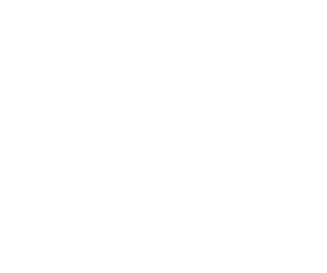 Fabric logo