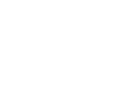 Houndstooth Logo