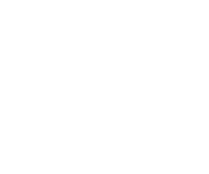 Pfister logo